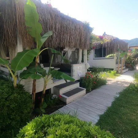 Hotel Mavi Yengec And 4*