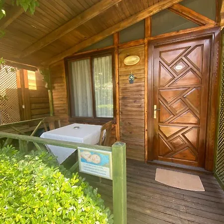 Mavi Yengec And Orhaniye