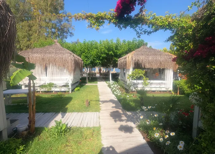 Hotel Mavi Yengec And 4*