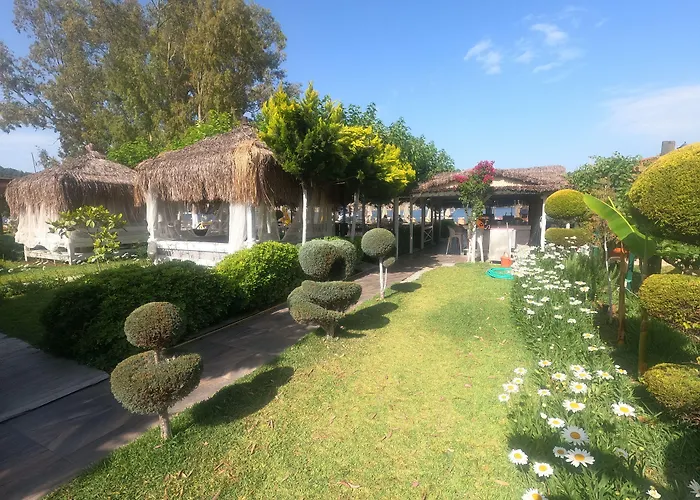 Hotel Mavi Yengec And 4*