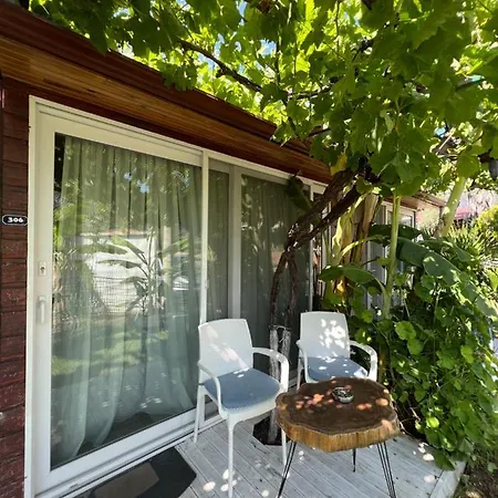 Hotel Mavi Yengec And 4*