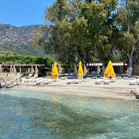 Hotel Mavi Yengec And